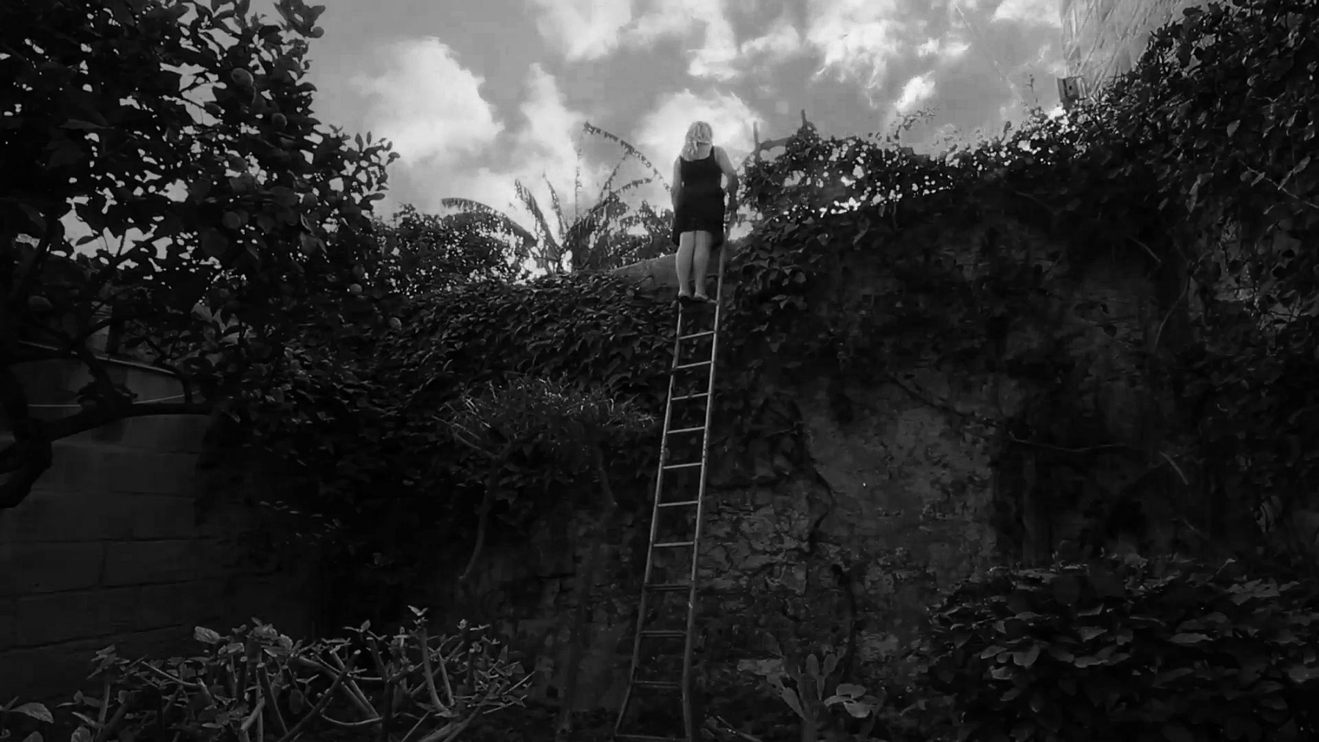 Vesna Perunović, Descending – Over the wall, video still, 2018. Snimak Božo Vasić.jpg