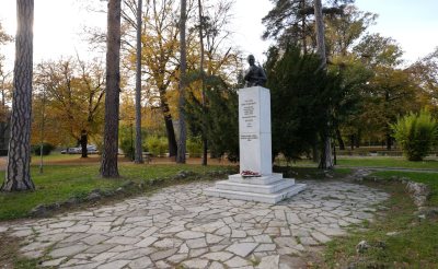 Споменик Арчибалду Рајсу 9x16.00_00_40_10.Still050.jpg